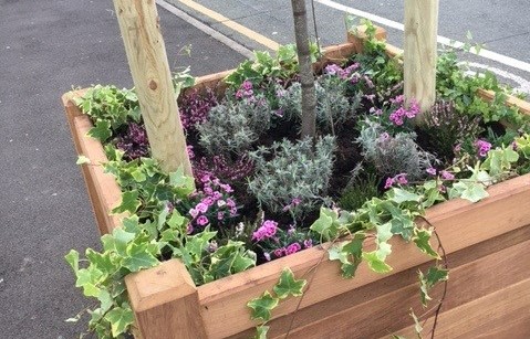 New wooden planters bring spring colour to Crewe Town Centre